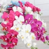 Simulated Phalaenopsis wool fabric, 9-head large Phalaenopsis export, Phalaenopsis fake flower wholesale, hand feel phalaenopsis orchid Application Scenario